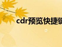 cdr预览快捷键（cdr格式预览工具）