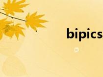 bipics后缀（bipics）