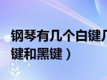 钢琴有几个白键几个黑键组成（钢琴有几个白键和黑键）