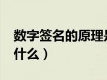 数字签名的原理是什么?（数字签名的原理是什么）