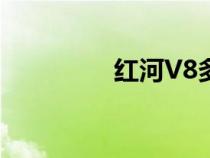 红河V8多少钱（红河v8）