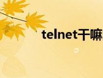 telnet干嘛的（telnet是什么）