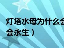 灯塔水母为什么会永生知乎（灯塔水母为什么会永生）