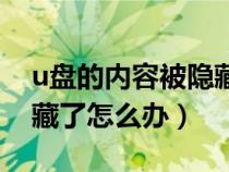 u盘的内容被隐藏了怎么显示（u盘内容被隐藏了怎么办）