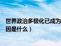 世界政治多极化已成为现实（当前世界政治多极化发展的原因是什么）