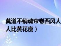 莫道不销魂帘卷西风人比黄花瘦出自（莫道不销魂帘卷西风人比黄花瘦）