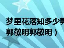 梦里花落知多少郭敬明评价（梦里花落知多少郭敬明郭敬明）