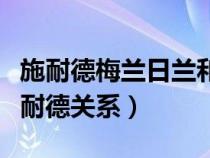 施耐德梅兰日兰和上海施耐德（梅兰日兰和施耐德关系）