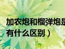 加农炮和榴弹炮是什么意思（加农炮与榴弹炮有什么区别）