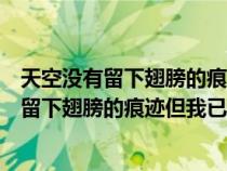 天空没有留下翅膀的痕迹但我已经飞过是什么歌（天空没有留下翅膀的痕迹但我已经飞过）