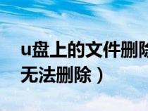 u盘上的文件删除了可以恢复吗（u盘文件夹无法删除）