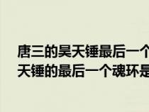 唐三的昊天锤最后一个魂环怎么获得的?（斗罗大陆唐三昊天锤的最后一个魂环是什么颜色的）