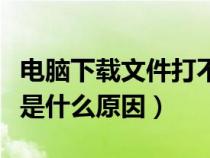 电脑下载文件打不开是什么原因（文件打不开是什么原因）