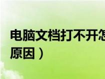 电脑文档打不开怎么解决（文档打不开是什么原因）