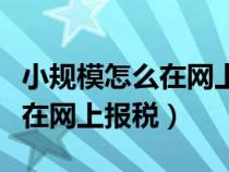 小规模怎么在网上报税操作流程（小规模怎么在网上报税）