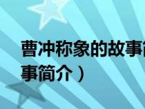 曹冲称象的故事简介概括30（曹冲称象的故事简介）