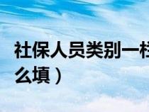 社保人员类别一栏怎么填写（社保人员类别怎么填）