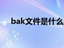 bak文件是什么类型的文件（bak文件）