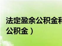 法定盈余公积金和任意盈余公积金（任意盈余公积金）