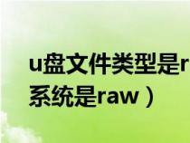 u盘文件类型是raw解决办法图文（u盘文件系统是raw）