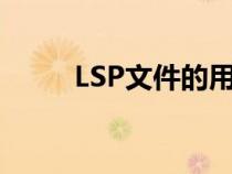 LSP文件的用途与功能（lsp文件）