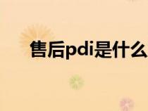 售后pdi是什么意思（pdi是什么意思）