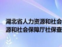 湖北省人力资源和社会保障局官网服务大厅（湖北省人力资源和社会保障厅社保查询）