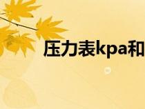 压力表kpa和mpa（压力表stork）