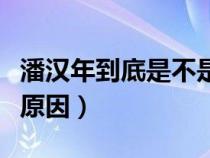 潘汉年到底是不是叛徒（潘汉年被拿掉的真实原因）