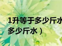 1升等于多少斤水等于多少斤 视频（1升等于多少斤水）