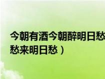 今朝有酒今朝醉明日愁来明日愁图片（今朝有酒今朝醉明日愁来明日愁）