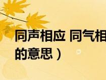 同声相应 同气相求出自（同声相应同气相求的意思）