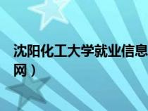 沈阳化工大学就业信息网官网首页（沈阳化工大学就业信息网）