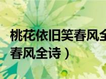 桃花依旧笑春风全诗是什么意思（桃花依旧笑春风全诗）