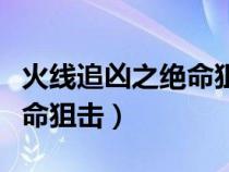 火线追凶之绝命狙击百度百科（火线追凶之绝命狙击）