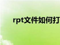 rpt文件如何打开（rpt文件怎么打开）