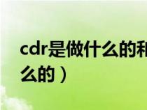 cdr是做什么的和ps有什么区别（cdr是做什么的）