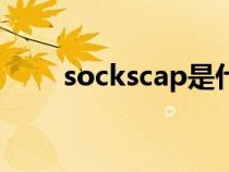 sockscap是什么软件（sockscap）