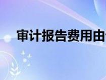 审计报告费用由谁承担（审计报告费用）