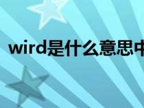 wird是什么意思中文（wizard是什么意思）