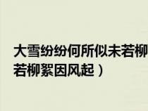 大雪纷纷何所似未若柳絮因风起的意思（大雪纷纷何所似未若柳絮因风起）