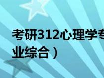 考研312心理学专业基础综合（347心理学专业综合）