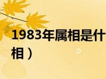 1983年属相是什么生肖配对最好（1983年属相）