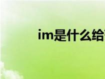 im是什么给药途径（im是什么）