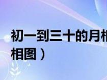 初一到三十的月相图及名称（初一到三十的月相图）