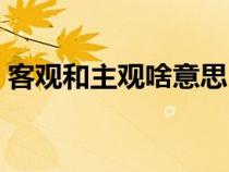 客观和主观啥意思（客观和主观是什么意思）