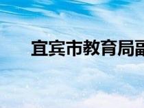 宜宾市教育局副局长（宜宾市教育局）