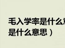 毛入学率是什么意思?怎么计算的（毛入学率是什么意思）