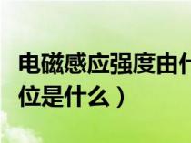 电磁感应强度由什么决定（电磁感应强度的单位是什么）