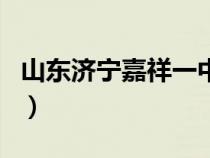 山东济宁嘉祥一中高金瑞（山东济宁嘉祥一中）